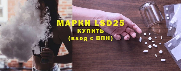 PSILOCYBIN Богданович