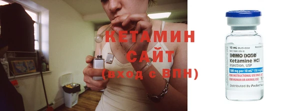 прущие грибы Богородицк