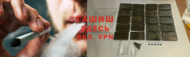 прущие грибы Богородицк