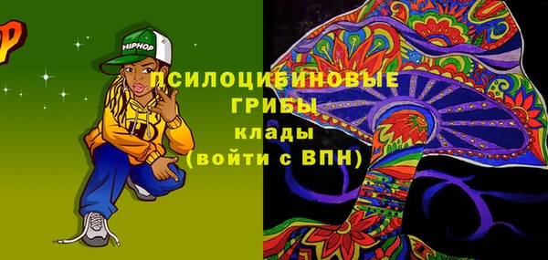 прущие грибы Богородицк