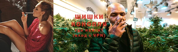 PSILOCYBIN Богданович