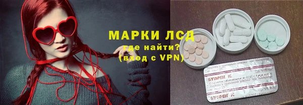 крисы Инта